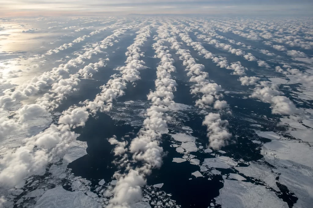 Long parallel rows of white cumulus clouds cross dark Arctic water and broken sea ice under pale winter light.